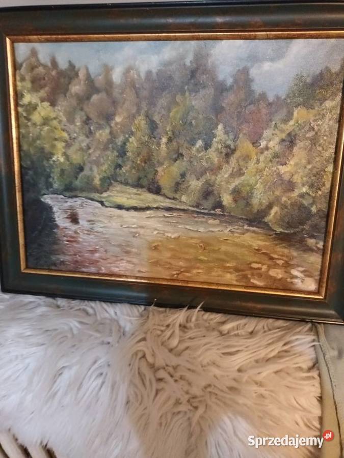 Pejzaż z rzeką i lasem Malbork