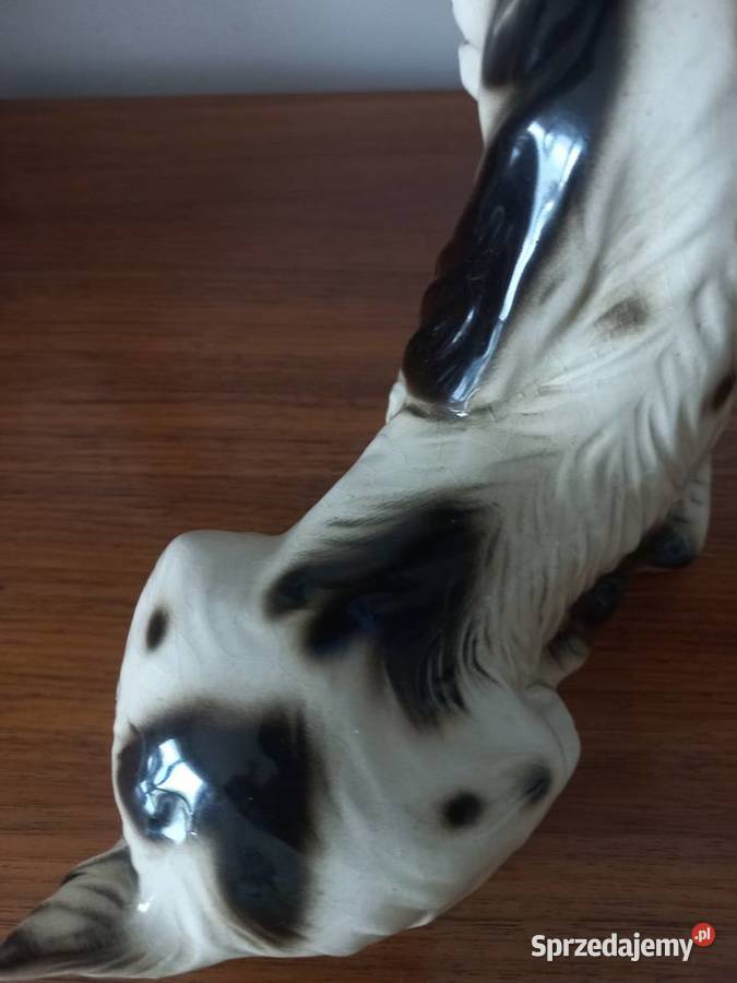 Figurka ceramiczna pies Spaniel kujawsko-pomorskie Toruń