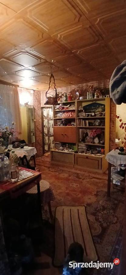 Działka ROD Gaj Janowiecka 77 Warszawa