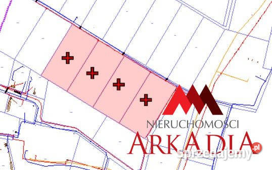 sprzedaży działki 3100m2 Nowy Witoszyn
