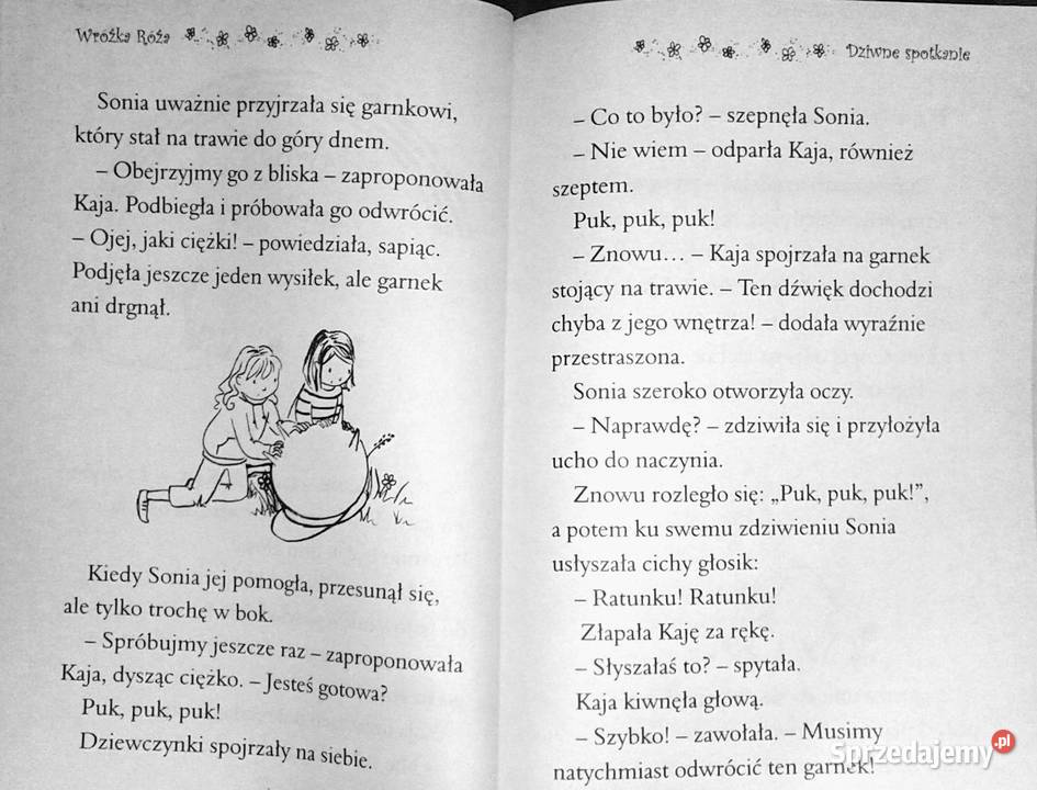 Tęczowa magia Wróżka Róża Strażniczka Barwy Chełm sprzedam