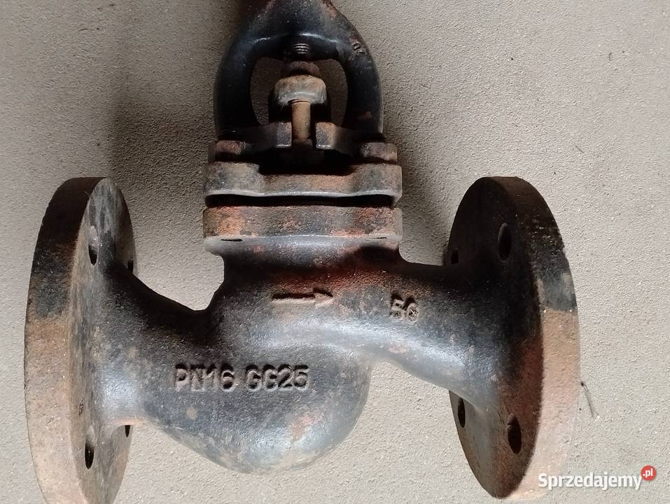 Zawór zaporowy kołnierzowy PN16 GG25 DN 50 2