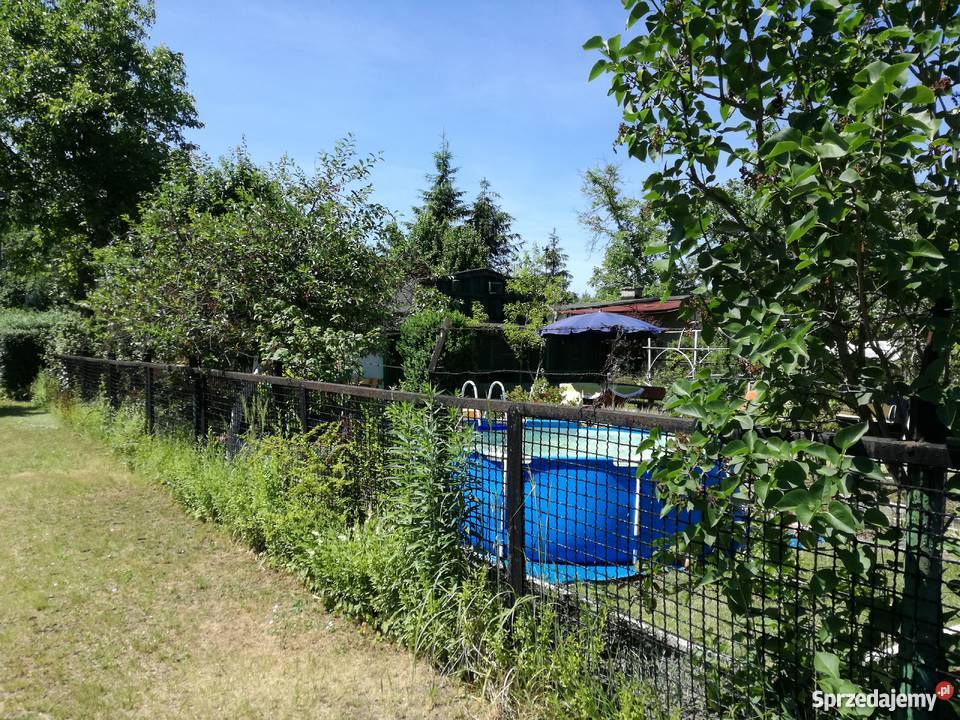 Ogródek działkowy ROD Jedność