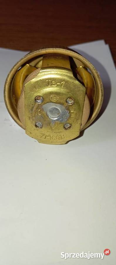 Termostat TS1 Warszawa Nowy 4999 Poznań