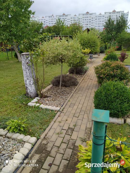 Ogródek działkowy Kopernik Legnica sprzedam