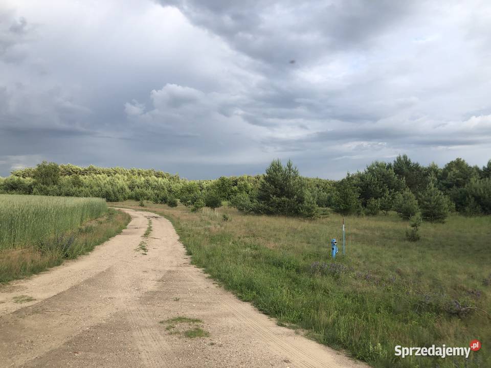 Kolankowo Prądocin dzialka rezydencyjny ze kujawsko-pomorskie sprzedam