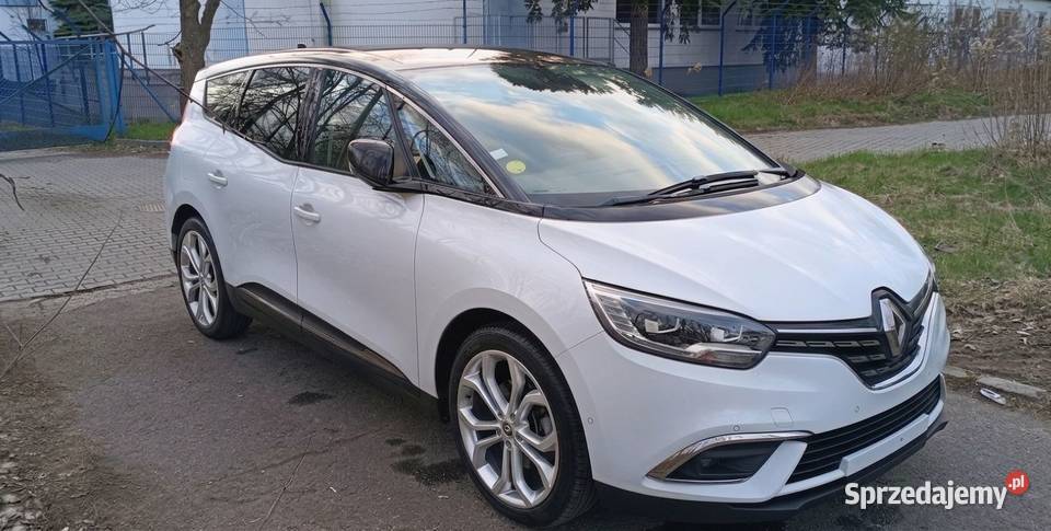 RENAULT GRAND SCENIC Byków sprzedam