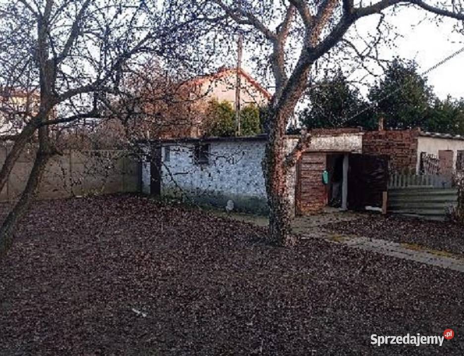 Syndyk sprzeda udziały 18 w nieruchomościach piwnica Osięciny