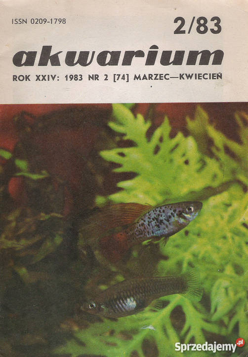 akwarium 283 Puławy