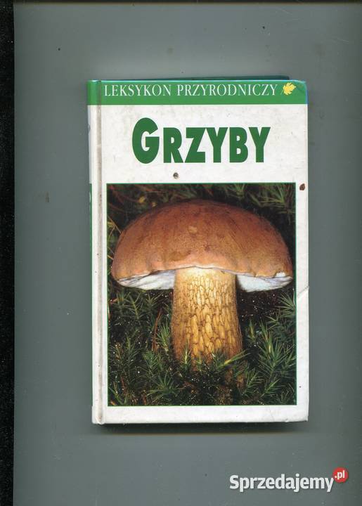 Leksykon przyrodniczy Grzyby Grunert Szczecin