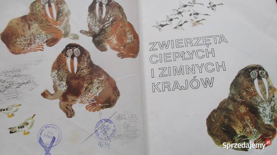 Ksiązki przyrodnicze przyroda las Bianki Książki dla dzieci Łódź