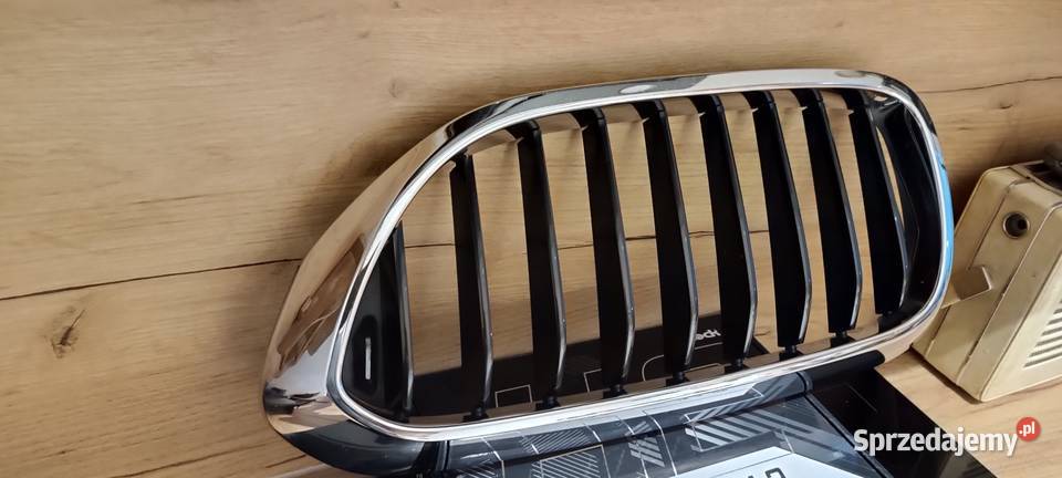 Atrapa chłodnicy grill BMW seria 5 G30 G31 Kalisz