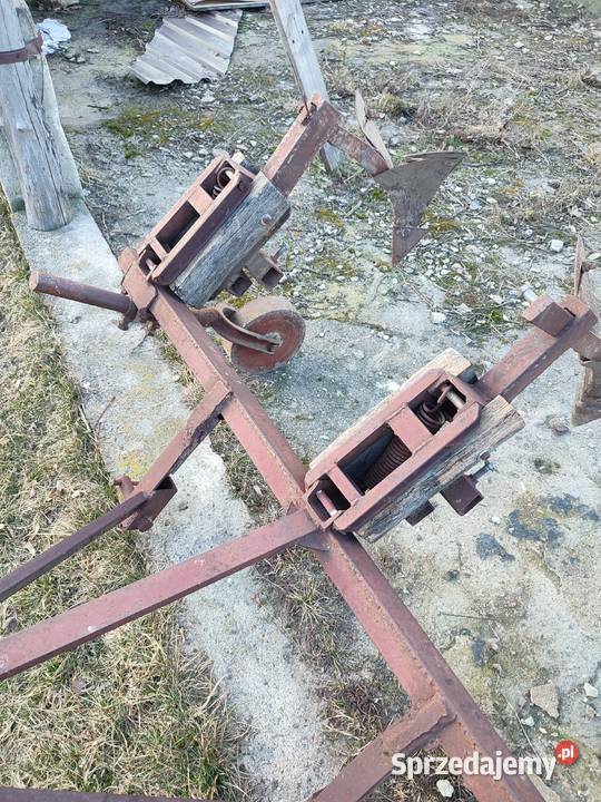 kopaczka konna Zabłocie