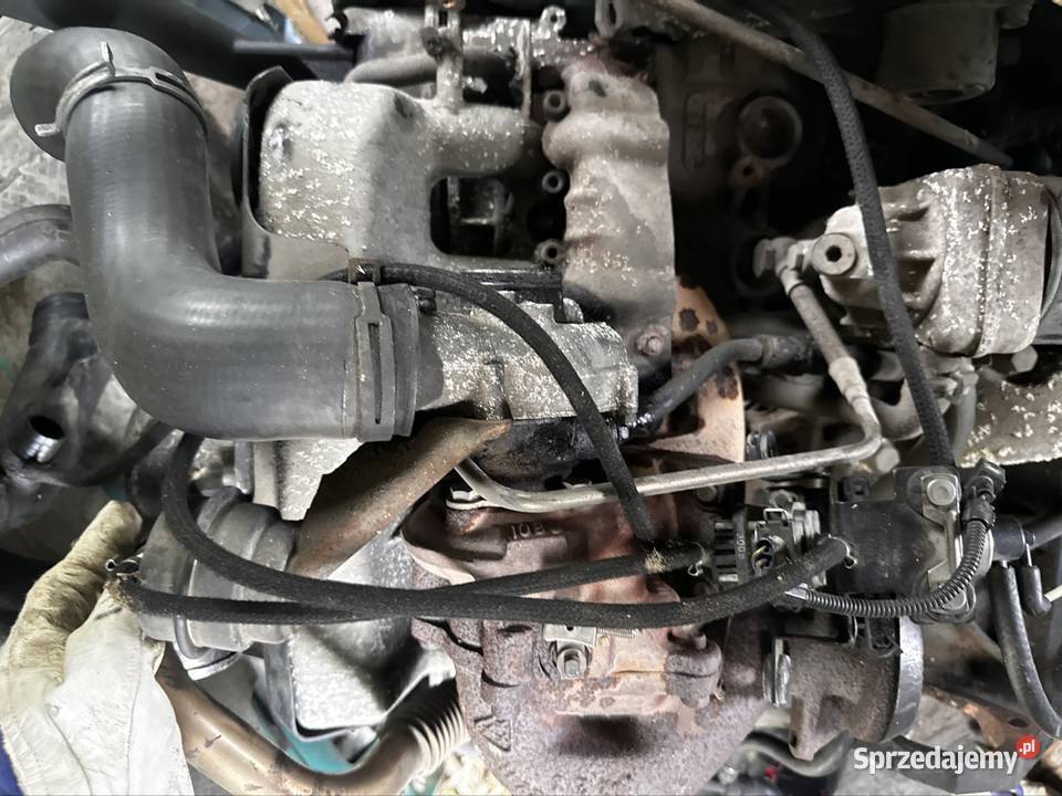Silnik VW T4 25 TDI ACV 102 Elbląg