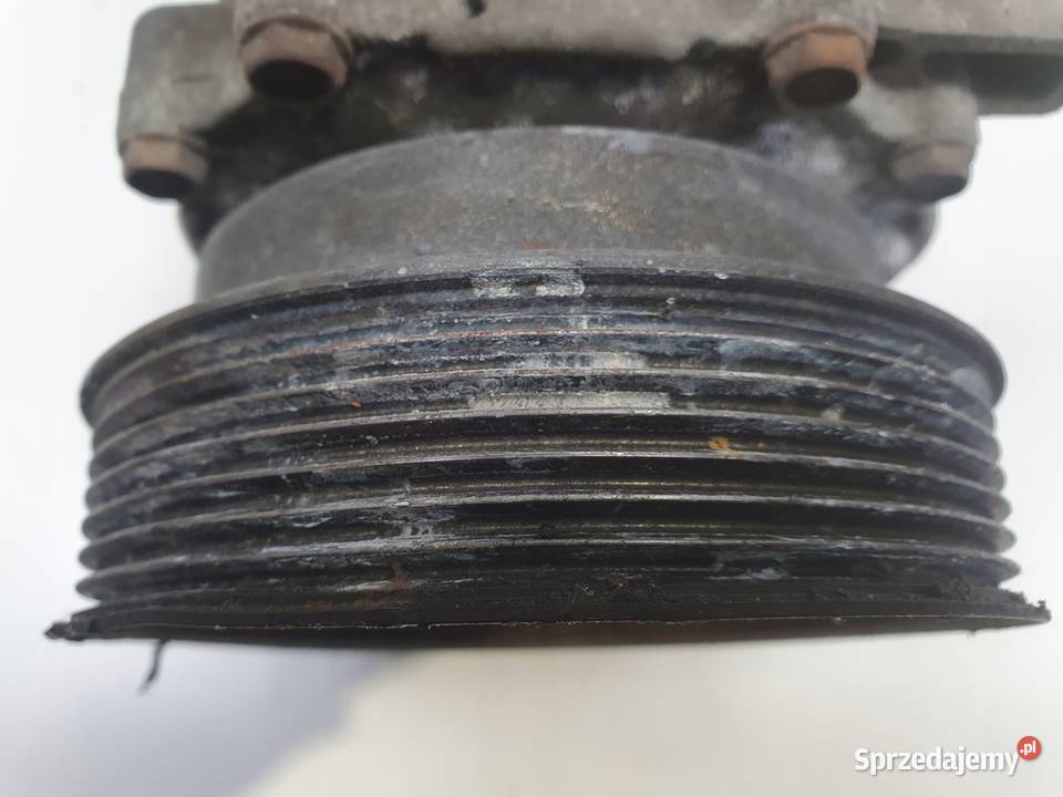 Renault Clio III 12 16V SPRĘŻARKA KLIMATYZACJI Klimatyzacja Janów