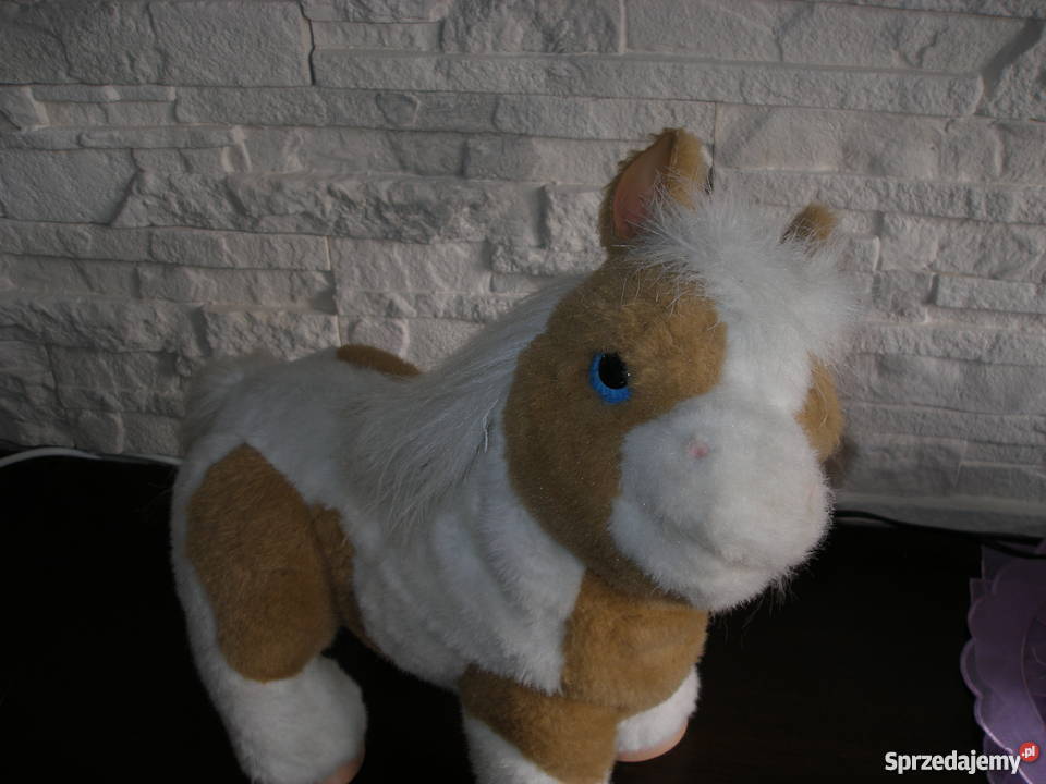 Interaktywny źrebaczek OKAZJA