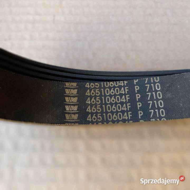1690049V95DD6C301AA Pasek wielorowkowy