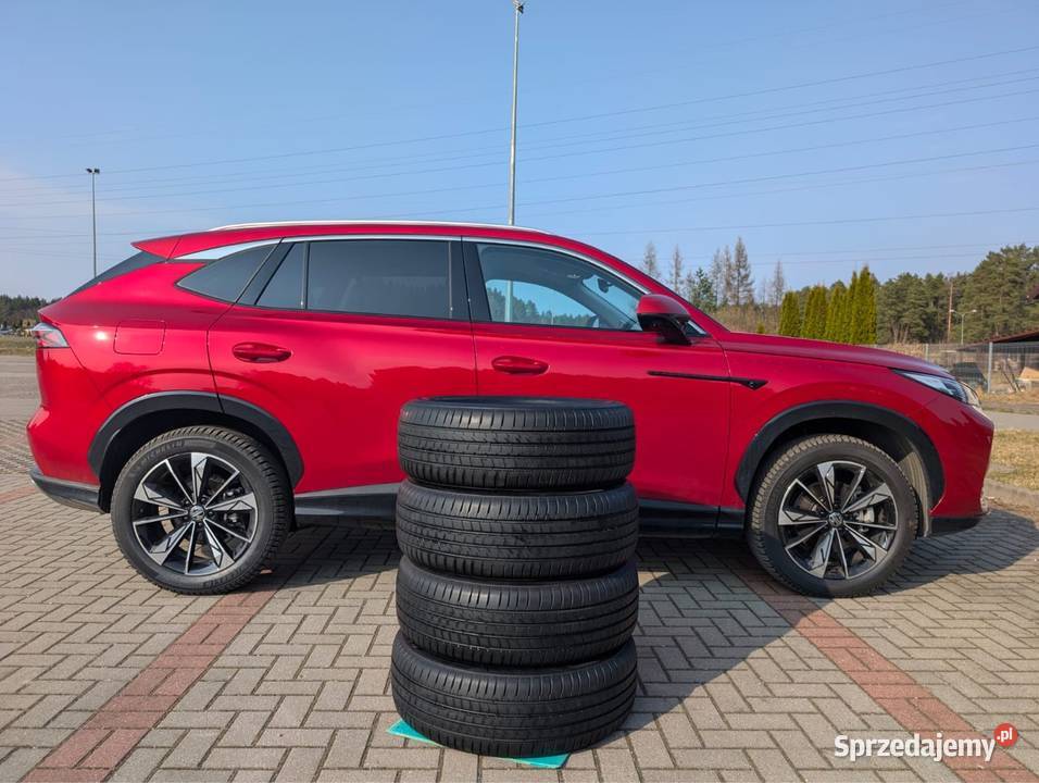 4 opony letnie 22555 r 19 99V Bridgestone Alenza warmińsko-mazurskie