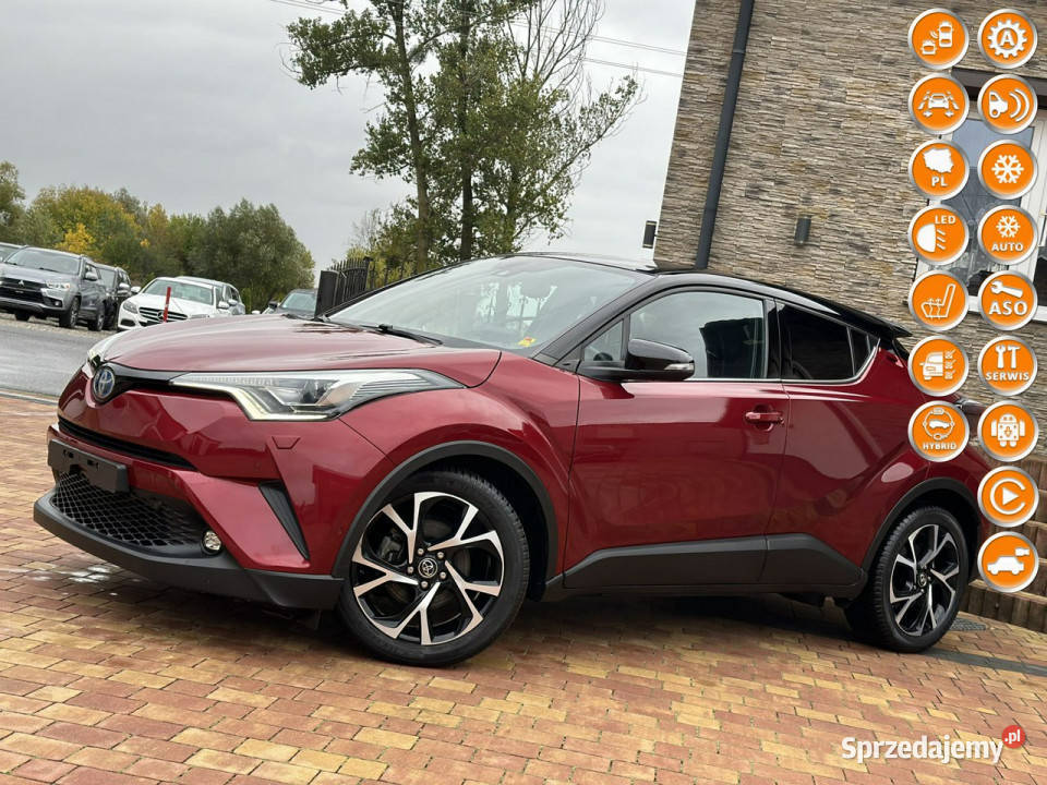 Toyota CHR nieuszkodzony Sadlno