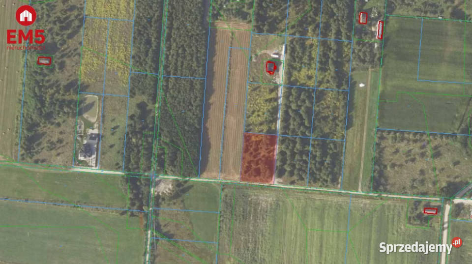 Działka Kolonia 3063 metry Sprzedaż Halickie sprzedam