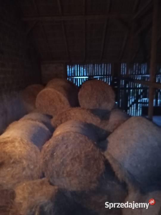 Sprzedam słomę Skrzydłowo