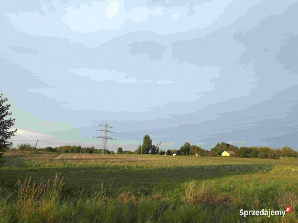 Drwalew Mazowieckie działka na sprzedaż do 4969m2 mazowieckie