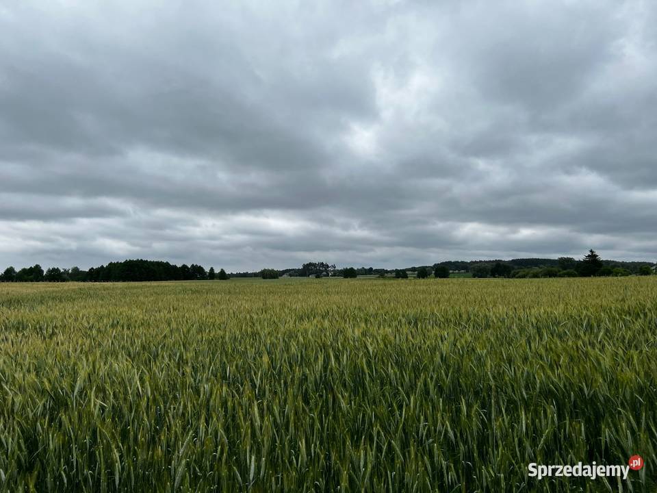 Działka budowlana z dostępem do jeziora