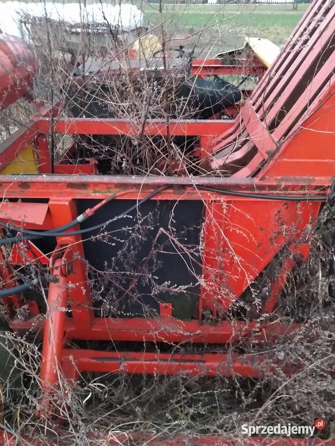 Wyorywacz Piotrków Drugi