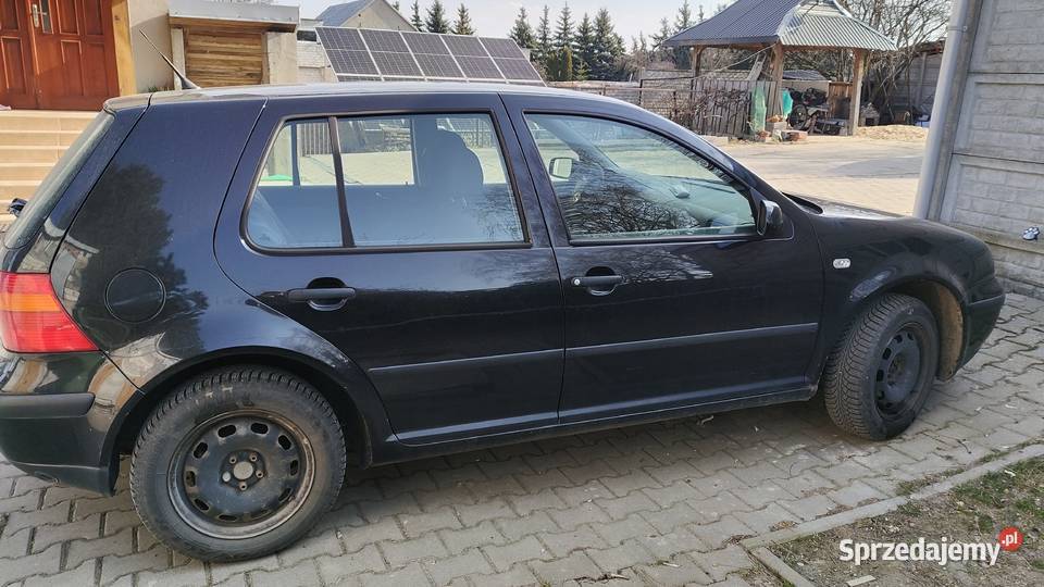Golf IV 16 bengaz Wierzchlas