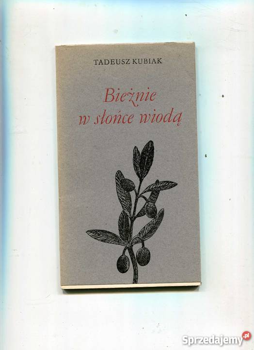 Bieżnie w słońce wiodą