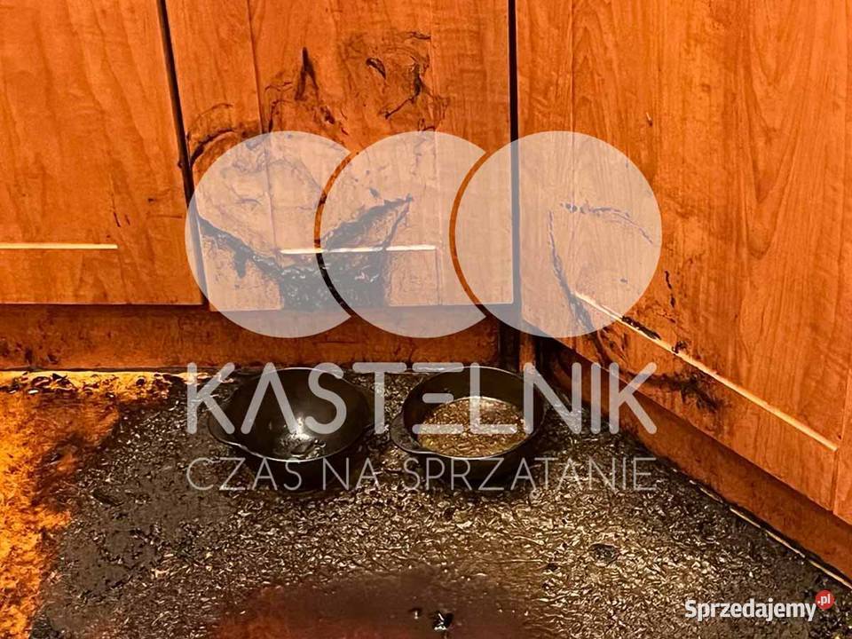 Dezynfekcja i sprzątanie zgonach Międzychód