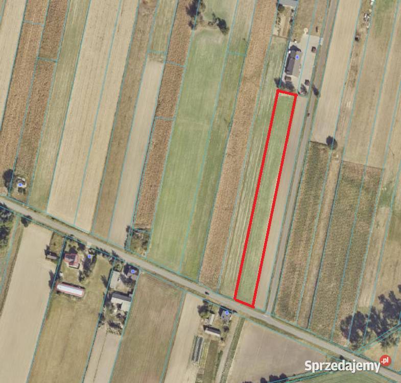 GOSPODARSTWO ROLNE Z ZABUDOWANIAMI 26185 HA Mniewo