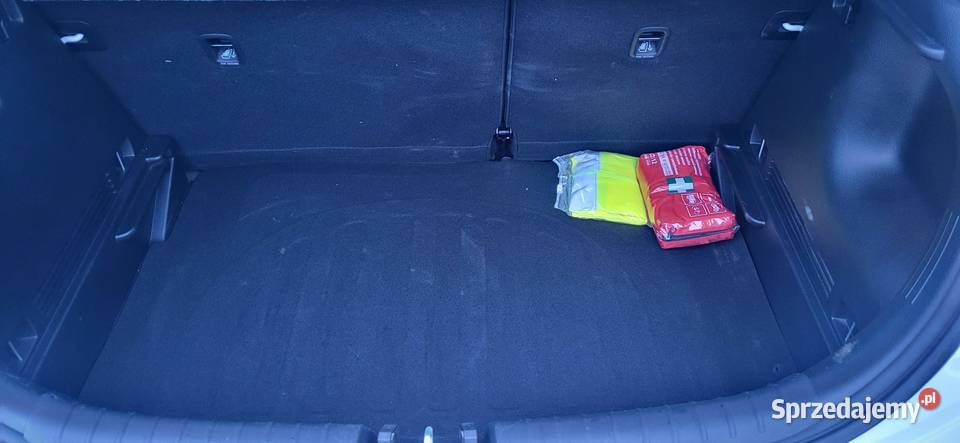 KIA RIO Salon Polska benzyna Grodzisk Mazowiecki