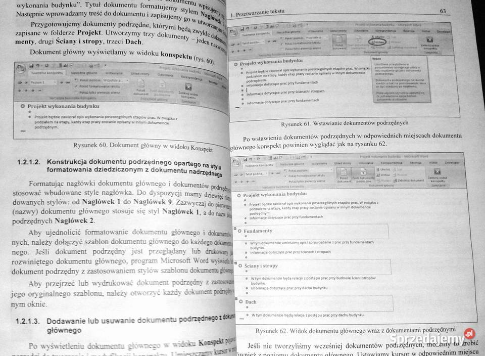 ECDL Advanced na skróty Sylabus 1 Alicja