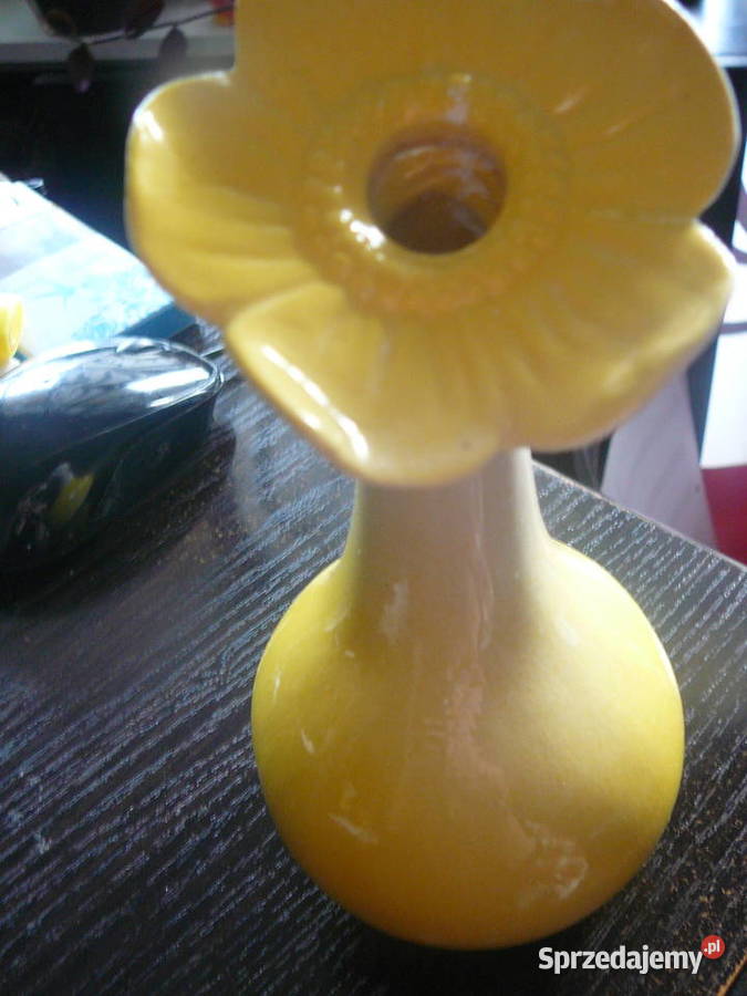 2 wazoniki ceramiczne kwiatki Wrocław