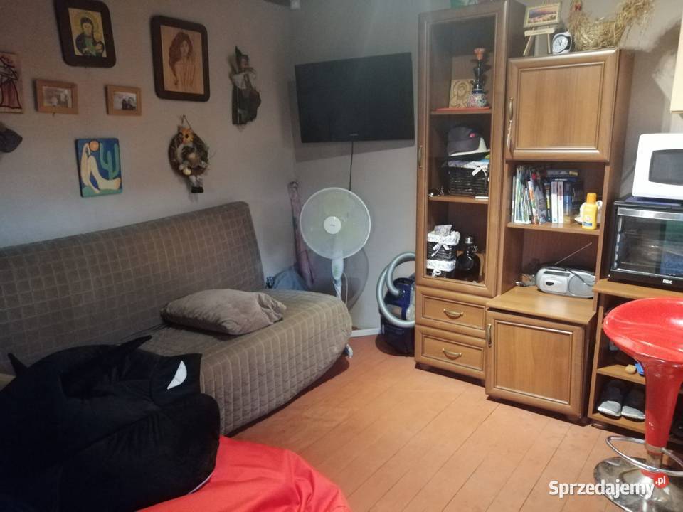 Ogród działkowy ROD GOŹDZIK WROCŁAW Wrocław