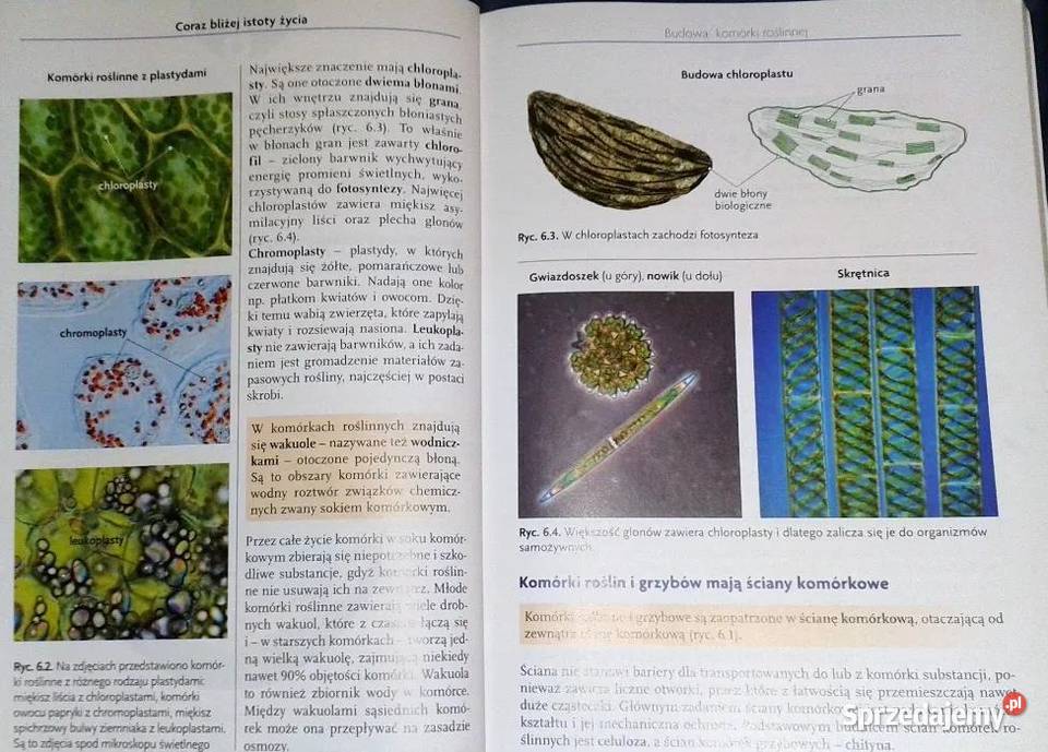 Ciekawa biologia Cz 3 E Kłos W Kofta Chełm sprzedam