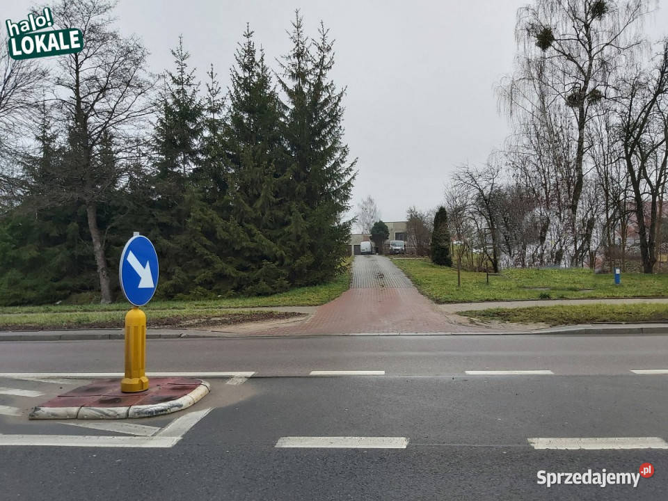 Lokal Białystok 300 metrów