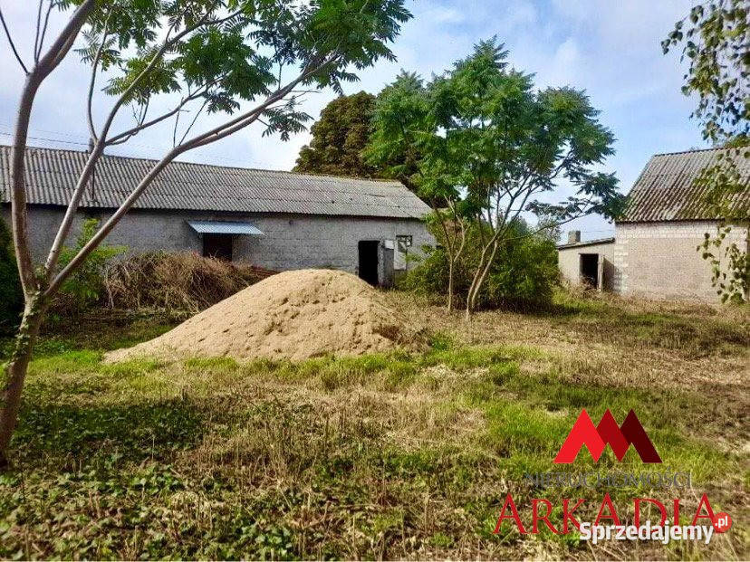 Grunt Siewiersk 3483m2 Sprzedaż