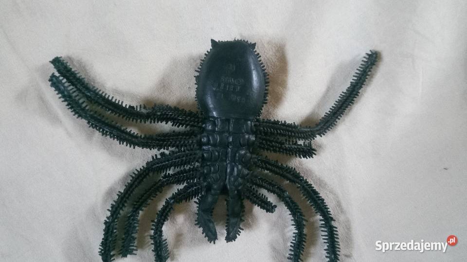 Pająk sztuczny maskotka mazowieckie Warszawa