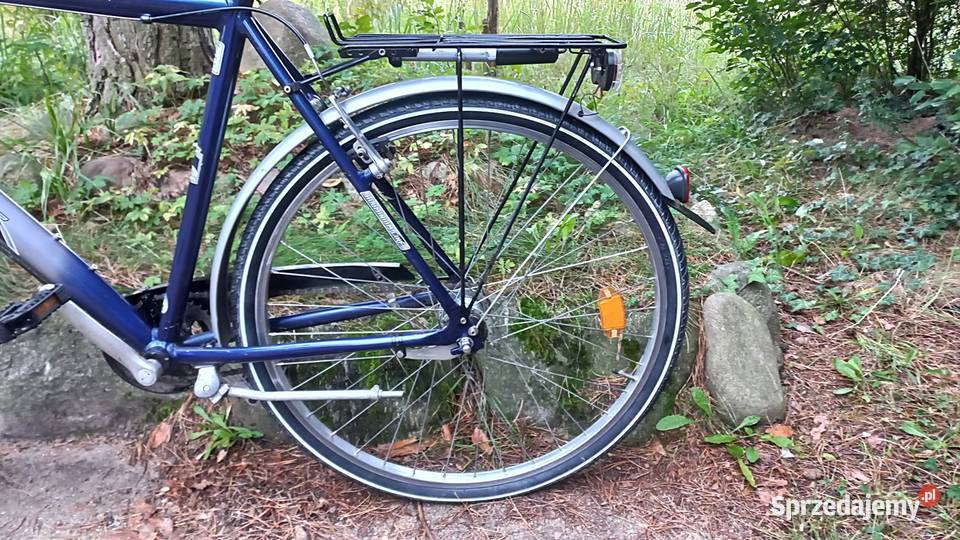 Alu Rower Miejski Męski Pegasus Avanti Sram S7 Wołów