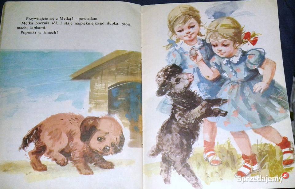 Czarna owieczka Jan Grabowski Chełm