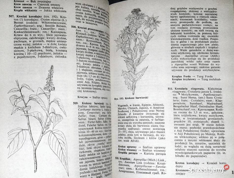Słownik roślin użytkowych Zbigniew Podbielkowski Chełm