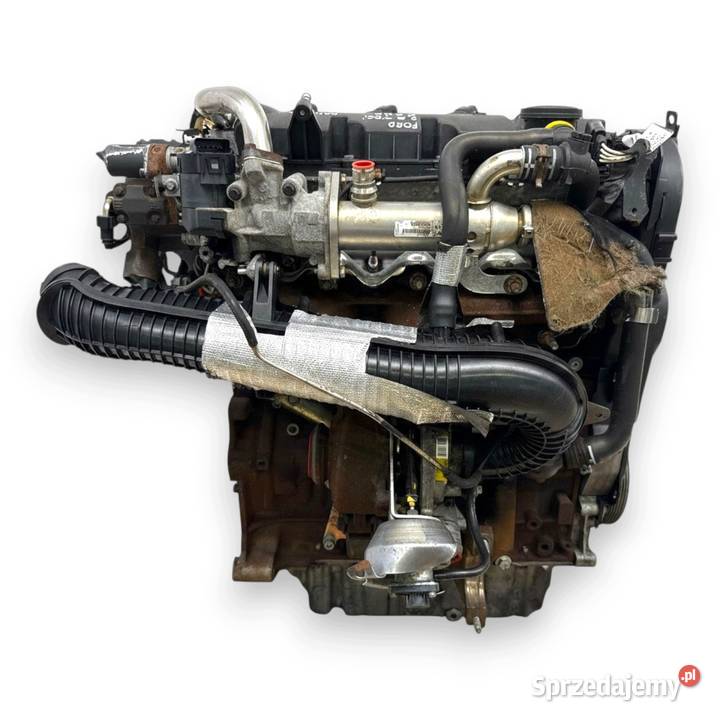 SILNIK G6DG Ford Kuga 20 TDCI 136 diesel osobowe Chełm