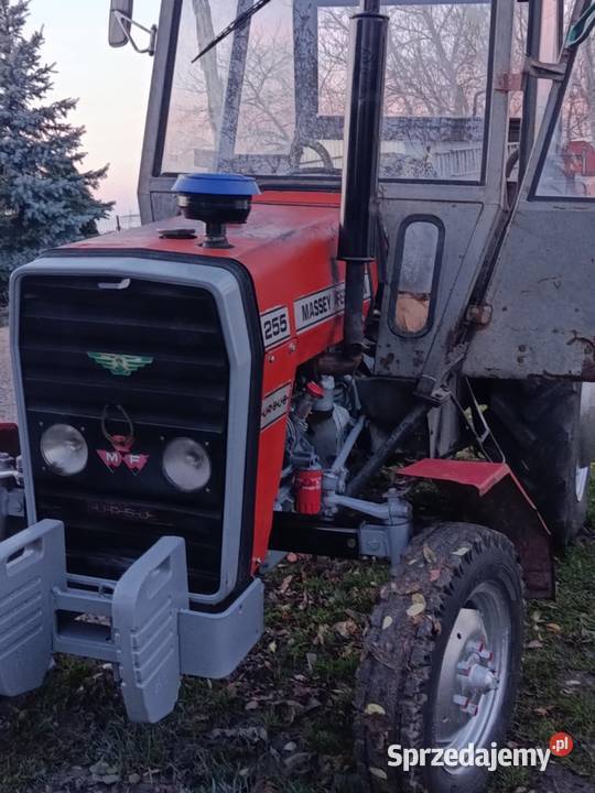 sprzedam fergusona Hrubieszów