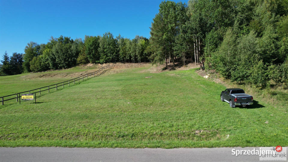 sprzedaży działki TeodorówkaKolonia 4182m2 Teodorówka-Kolonia sprzedam