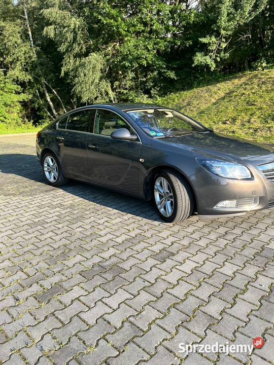 Opel Insignia 20 CDTI 2013 Hatchback Iwkowa sprzedam