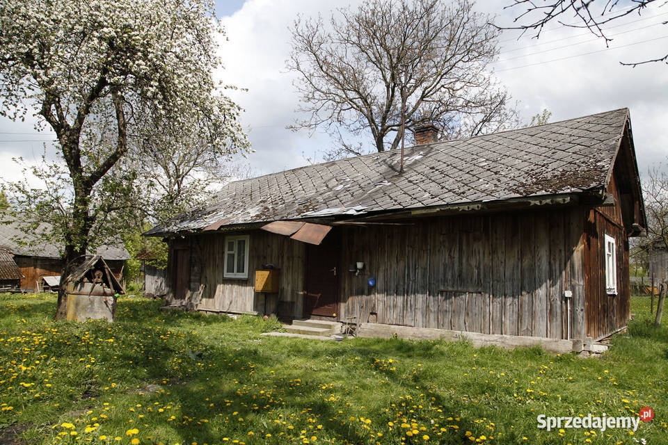 Gospodarstwo z dużą działką, drewniany dom i budynki gospodarcze