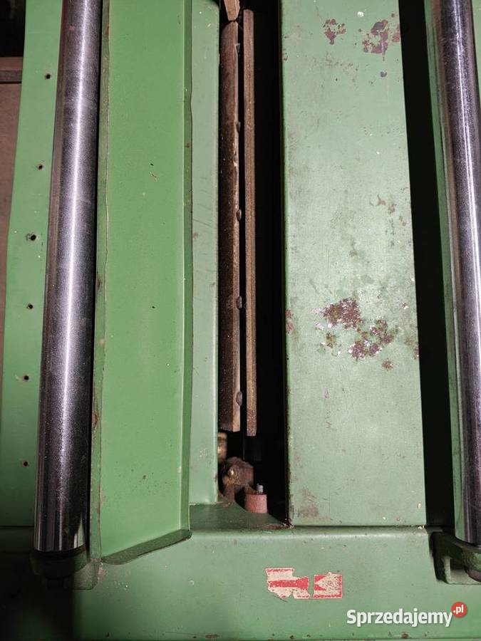 Grubościówka heblarka Koniecpol