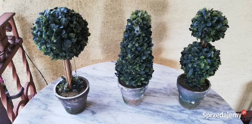 Drzewko sztuczne bukszpan choinka kula w Garwolin